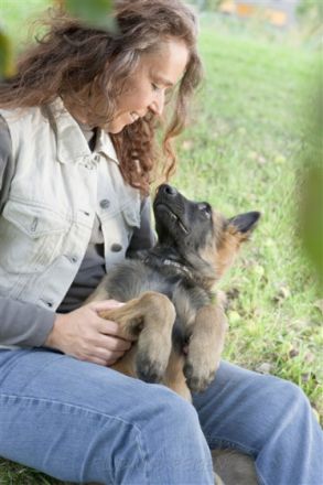 Hundeschule Reinjas Hundezentrum bei Ansbach