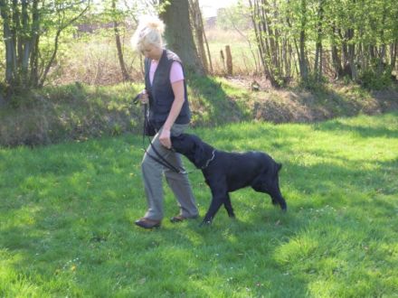 Gebrauchshundeausbildung&Hundetherapie