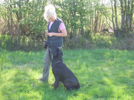 Gebrauchshundeausbildung&Hundetherapie