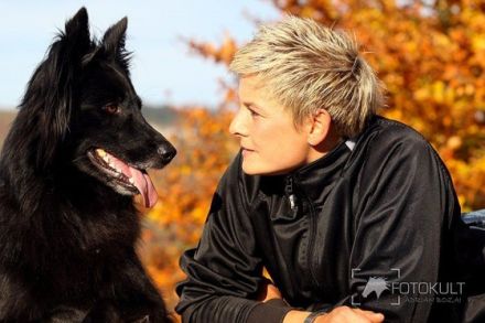 Ihr mobiler Hundetrainer