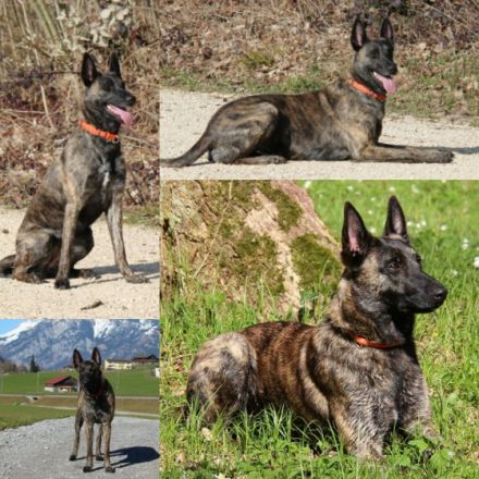 Vom Pfälzer Bergland