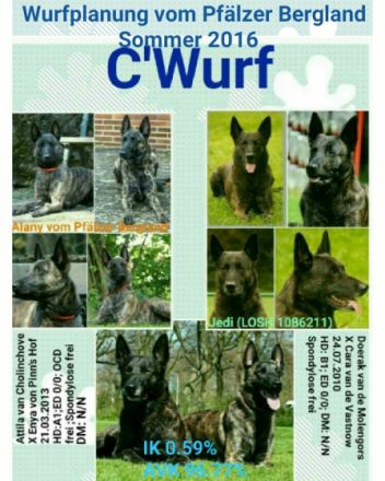 Vom Pfälzer Bergland