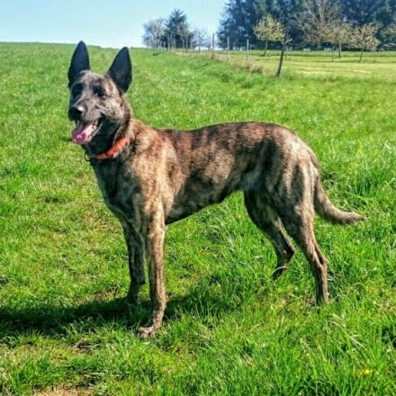 Vom Pfälzer Bergland