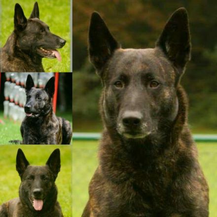 Vom Pfälzer Bergland