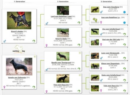 "von der Bösebrücke"