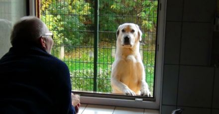 DOG-InForm / Mirjam Cordt