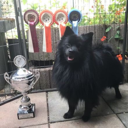 von Burg Hilpernstein