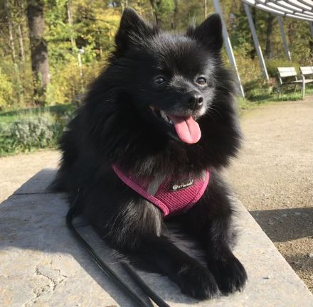 von Burg Hilpernstein