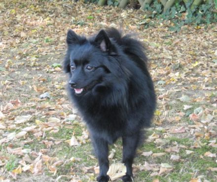 von Burg Hilpernstein