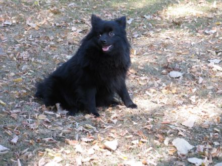 von Burg Hilpernstein