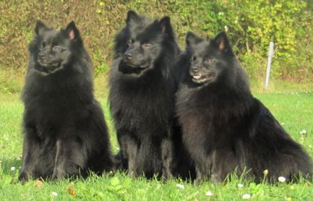 von Burg Hilpernstein