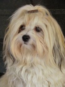 aus dem Himmel der kleinen Engel