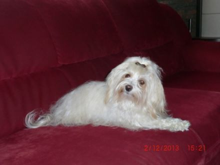 aus dem Himmel der kleinen Engel