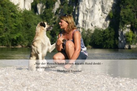 Hundetrainerin nach dem Rudelkonzept