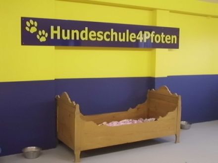 Hundeschule4Pfoten mit Hundepension