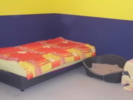 Hundeschule4Pfoten mit Hundepension