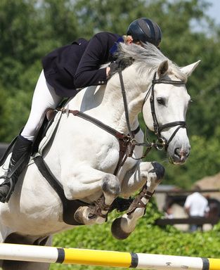 Tierheilzentrum Eifel, Naturheilkundezentrum für Tiere