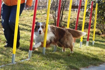 CJ The Number 1 Rockstar