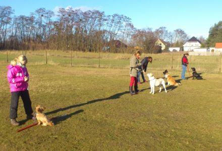 Hundeausbildung Irina Pfeifer