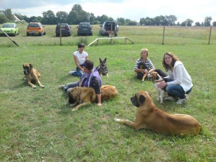 Hundeausbildung Irina Pfeifer