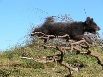 Andrea`s kleine Stürme