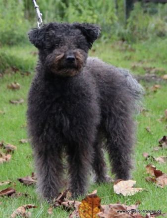 Andrea`s kleine Stürme