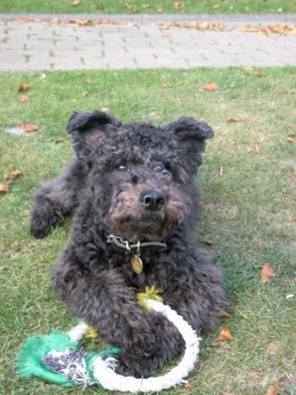 Andrea`s kleine Stürme