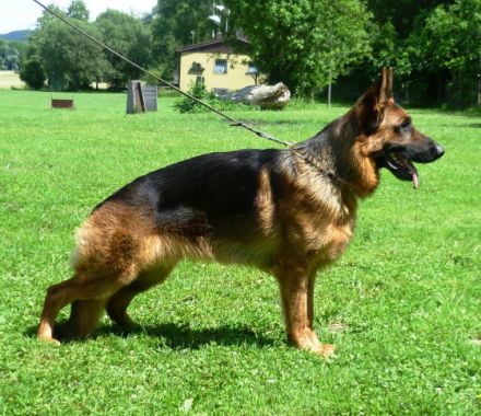 von der Etterstrasse