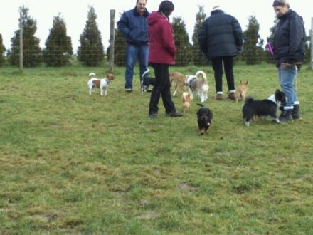 Hundeschule Oberberg in Lindlar