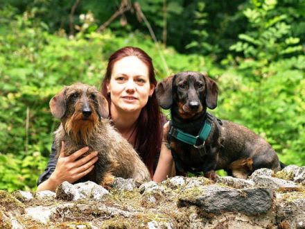 Fellnasen Fit - für die Gesundheit Ihres Tieres!