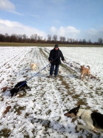 tiernaturheilkunde-pfote