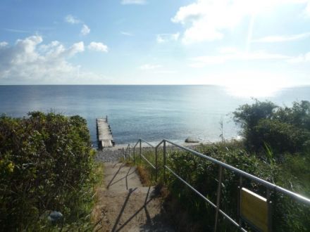 Hundeharmonie Marienleuchte