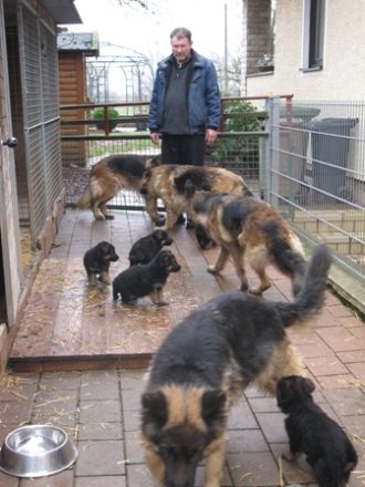 von den Altmühlauen