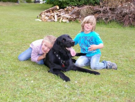 CALYPSO VOM REPETAL (CARLOS)