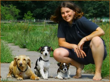 Hundepension Heiduk in Berlin