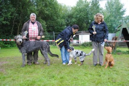 Basti vom Luidpoldplatz (Rufname: Falco)