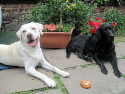 Vom Pfarrhof St. Ägidien