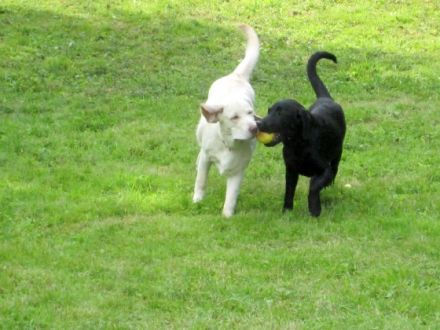 Vom Pfarrhof St. Ägidien