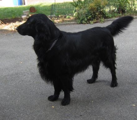 Flats of the rising sun