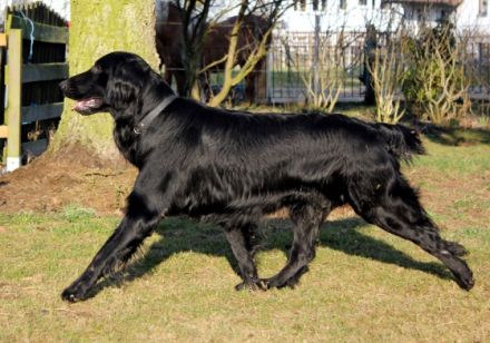 Flats of the rising sun