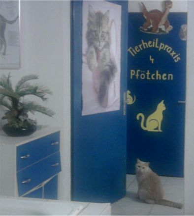 Tierheilpraxis 4 Pfötchen