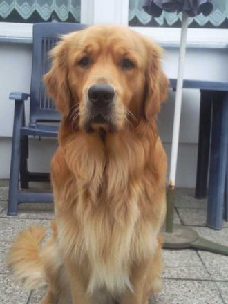 Claus-Buddy vom Reformer Eck