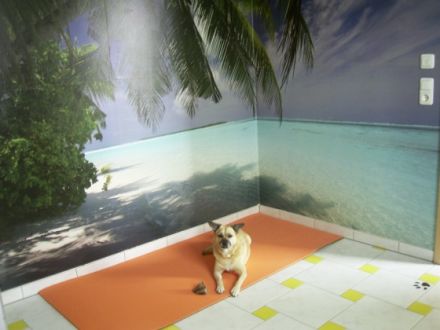 Tierheilpraxis Passau - Land