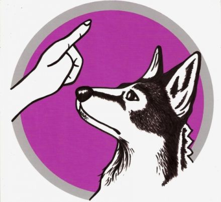 Menschens | Hund - Hundeschule mit Herz & Verstand