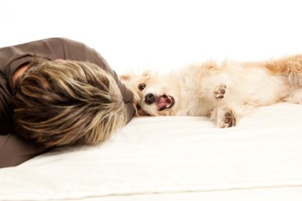 Hundeschule HARMONIA R. Stegemann