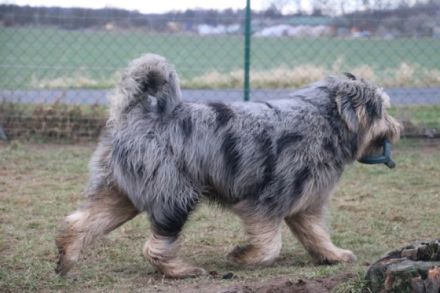 mit der treuen Seele