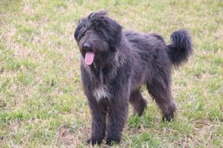 mit der treuen Seele