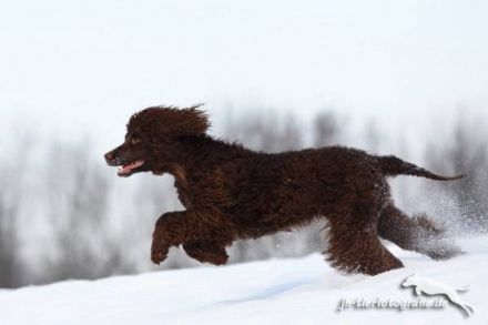 Von den heiligen Gärten