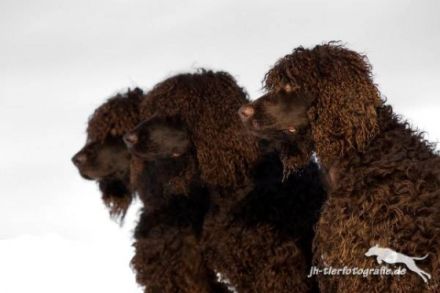 Von den heiligen Gärten