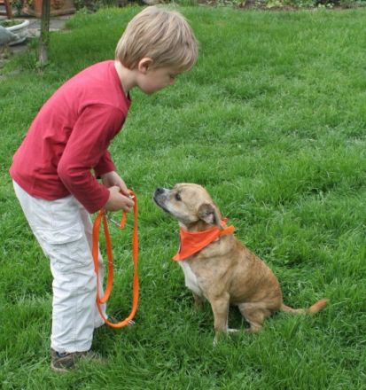 Dog`s Touch - Freude und Lernen mit Therapiehund